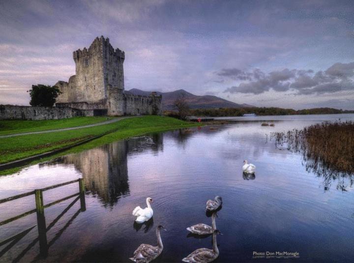 Kathleens Country House Lower Coolcorcoran Exterior foto