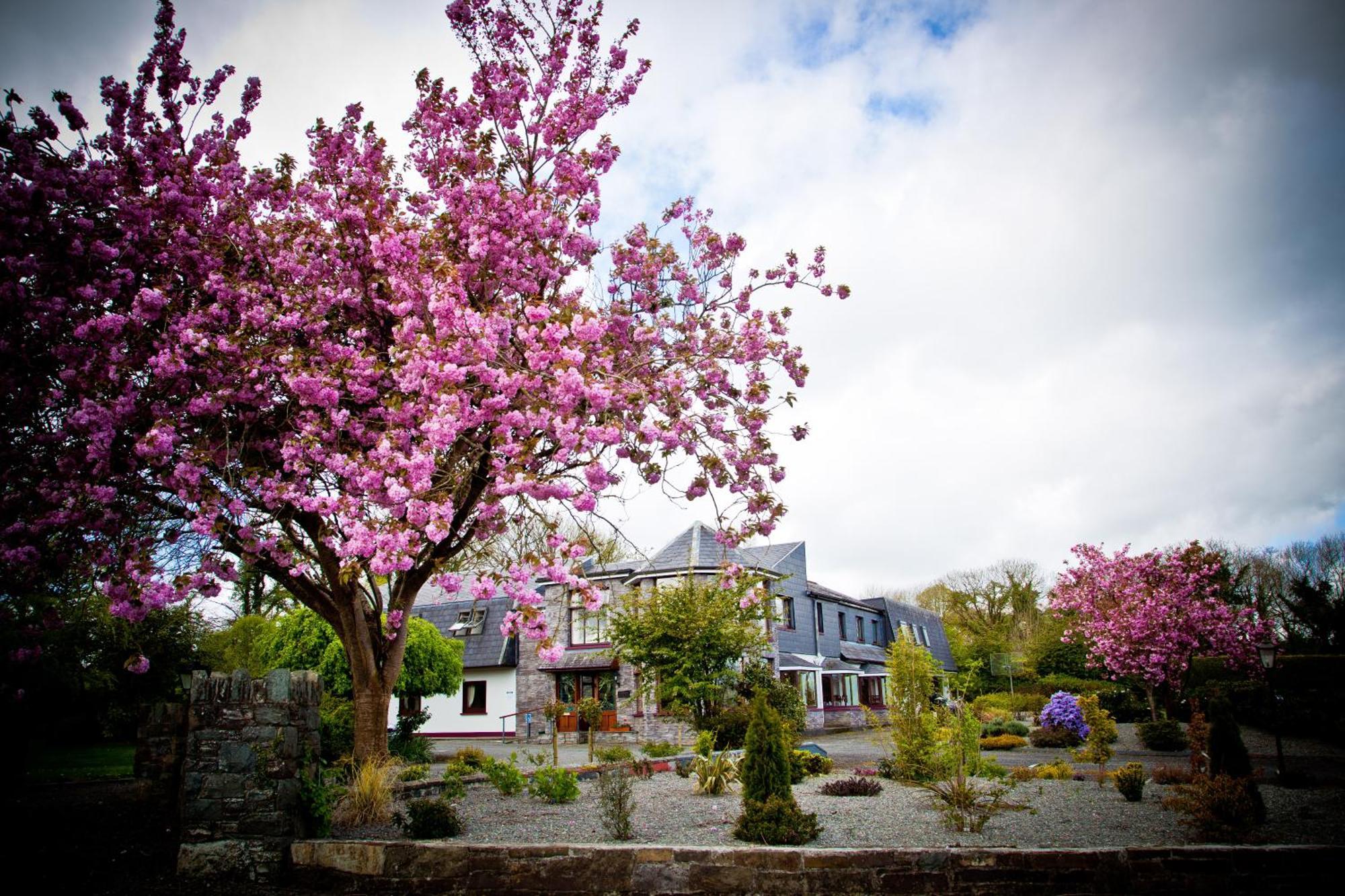 Kathleens Country House Lower Coolcorcoran Exterior foto