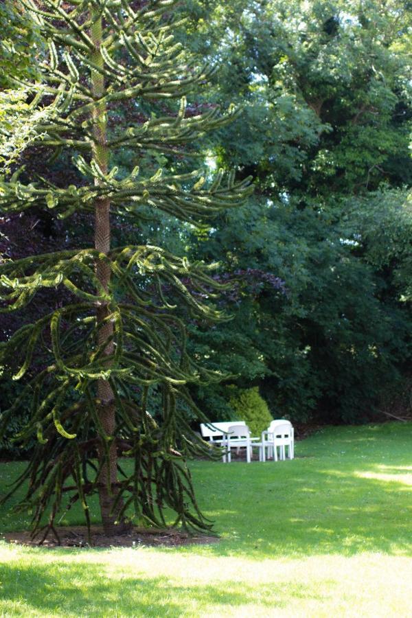Kathleens Country House Lower Coolcorcoran Exterior foto